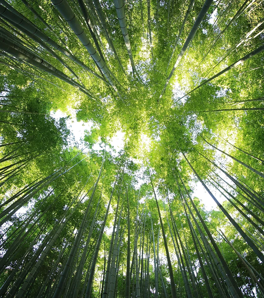 kazuend-19SC2oaVZW0-unsplash