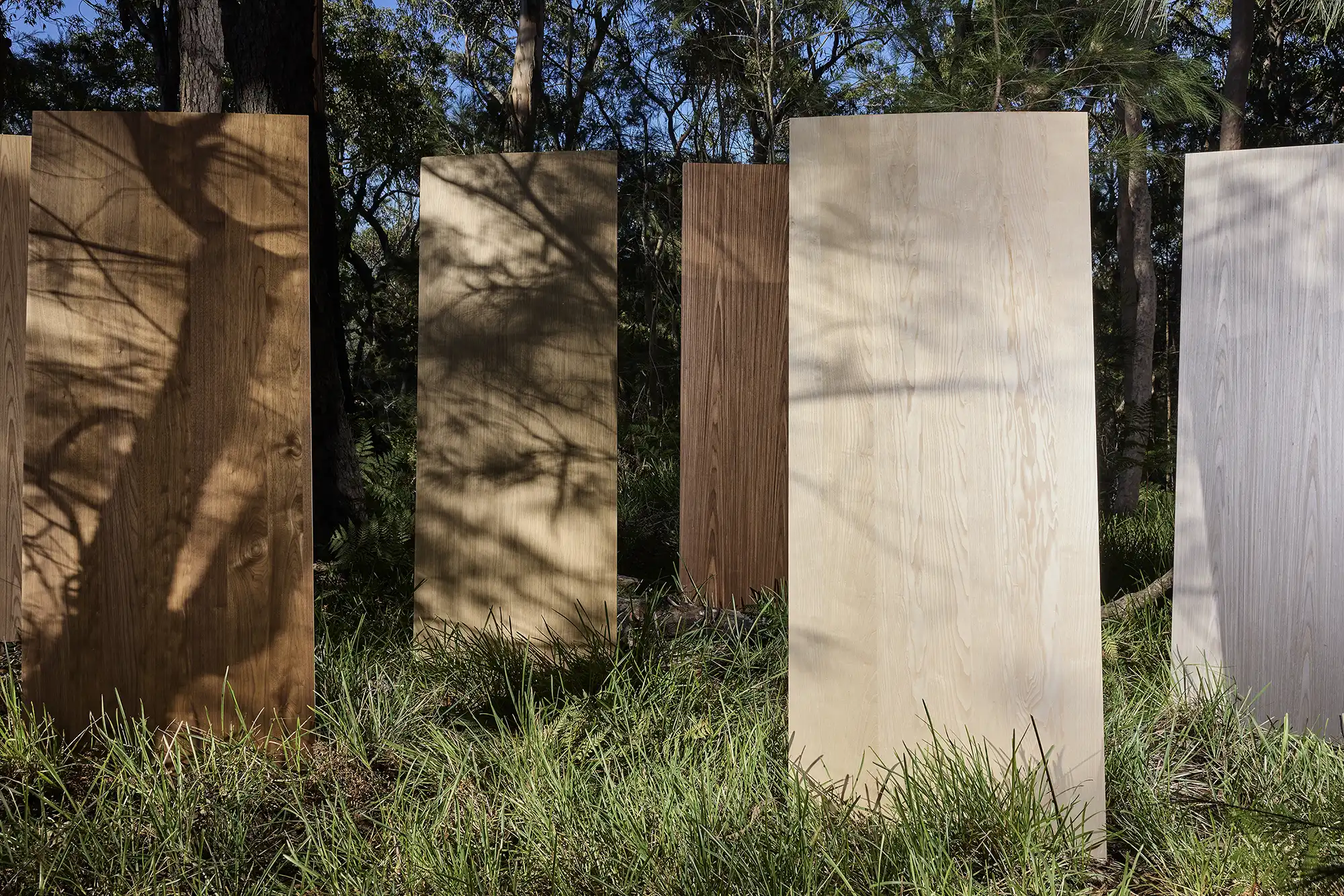 Sculpted by Natural Timber Beauty