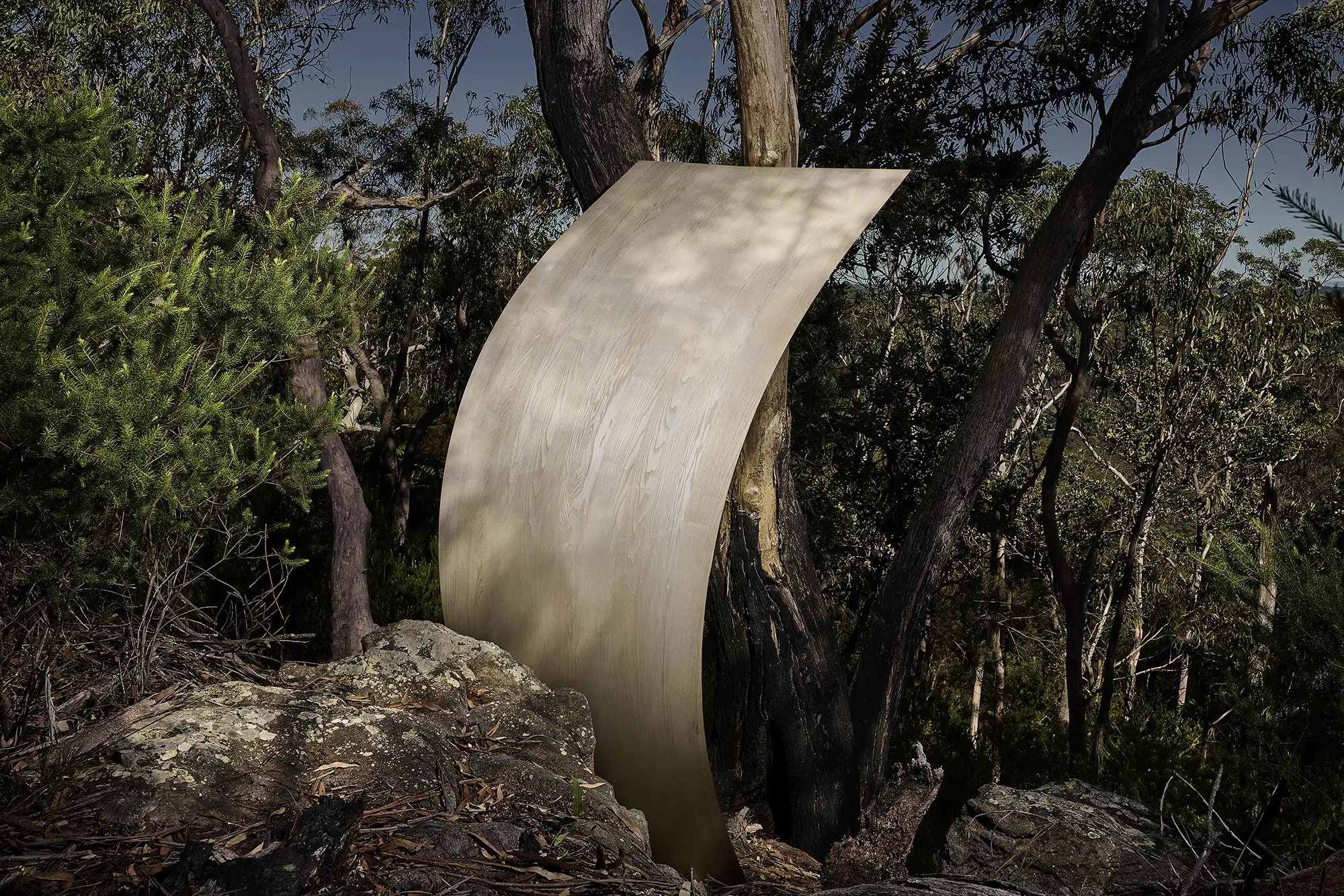 Sculpted by Natural Timber Beauty