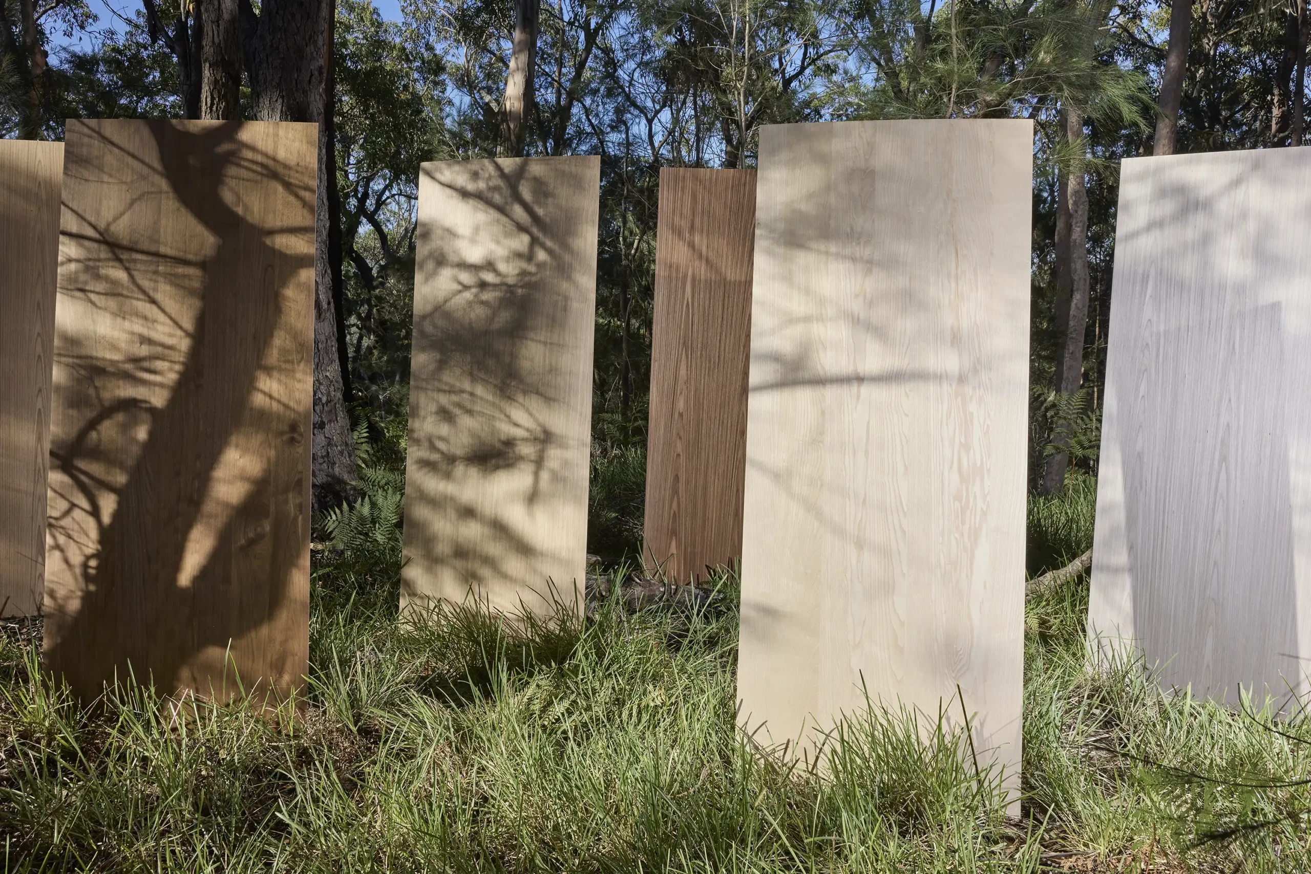 Sculpted by Natural Timber Beauty